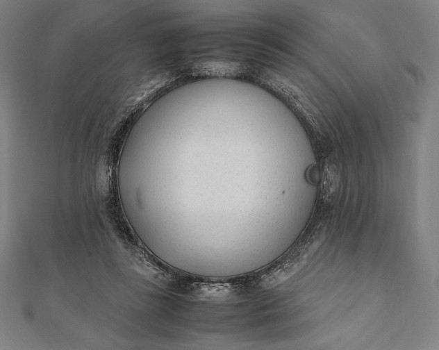 X0000112050355200908181141