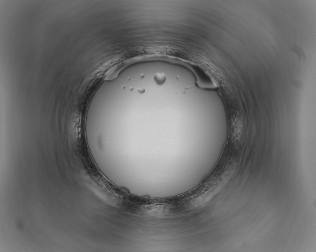 X0000112050356200908181141