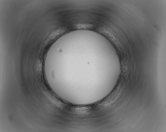 X0000112050357200908181141