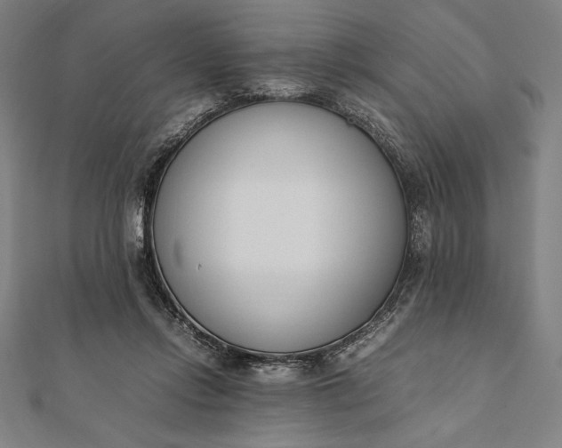 X0000112050358200908181141