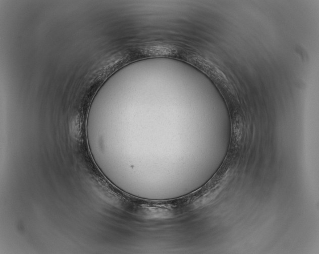 X0000112050359200908181141