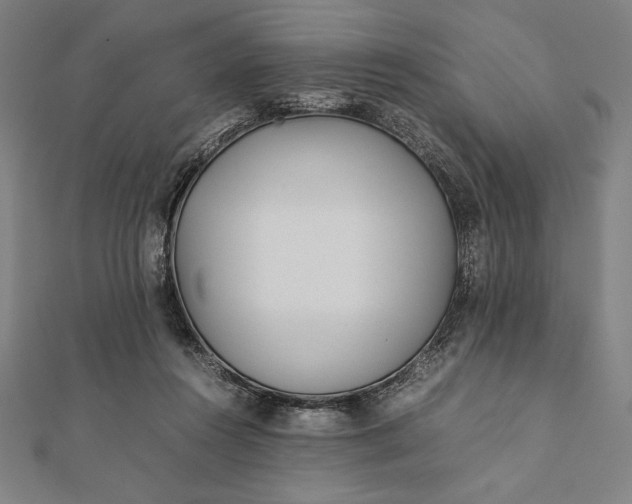 X0000112050360200908181141