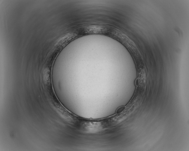 X0000112050361200908181141