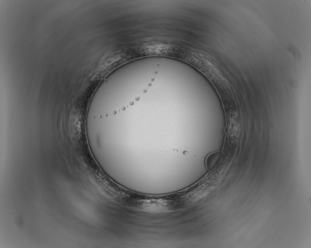 X0000112050363200908181141