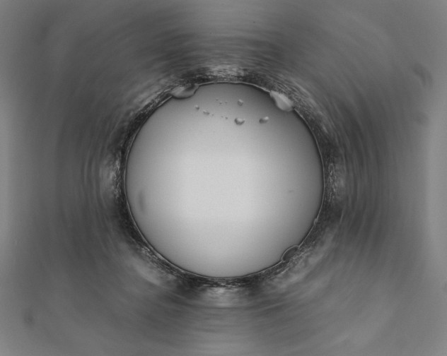 X0000112050364200908181141