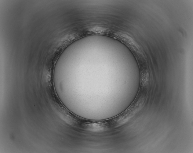 X0000112050365200908181141