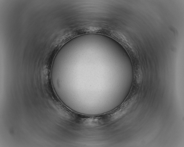 X0000112050366200908181141