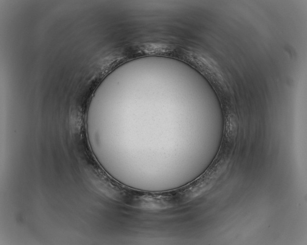 X0000112050367200908181141