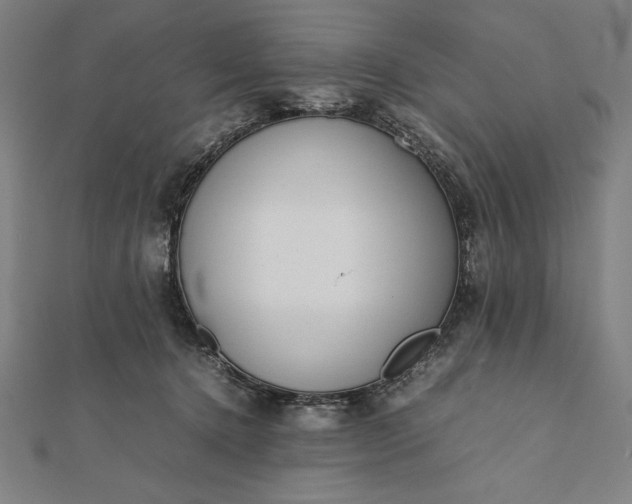 X0000112050368200908181141