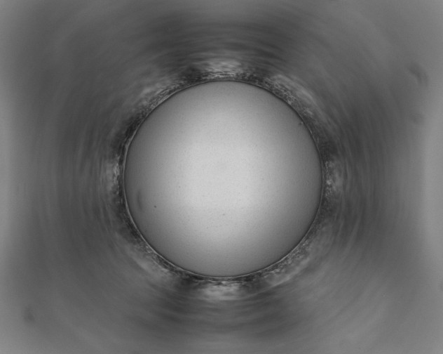 X0000112050369200908181141