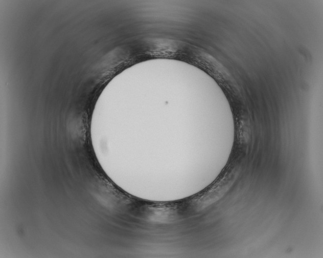 X0000112050370200908181141