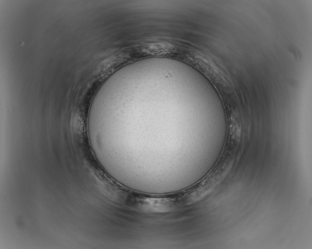 X0000112050371200908181141