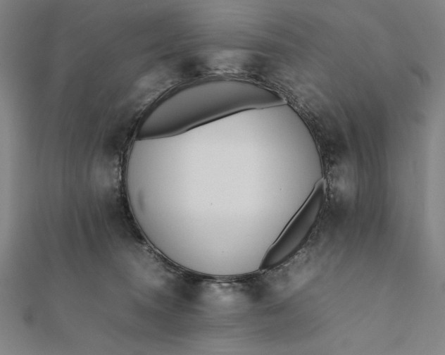 X0000112050372200908181141