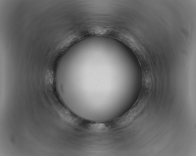 X0000112050374200908181141