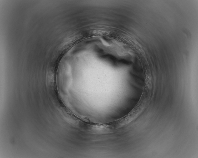 X0000112050375200908181141