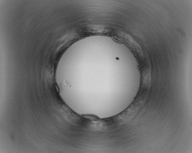 X0000112050376200908181141