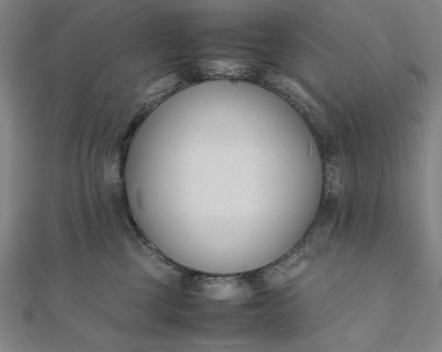 X0000112050377200908181141