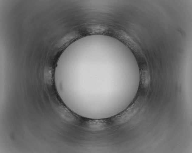 X0000112050378200908181141