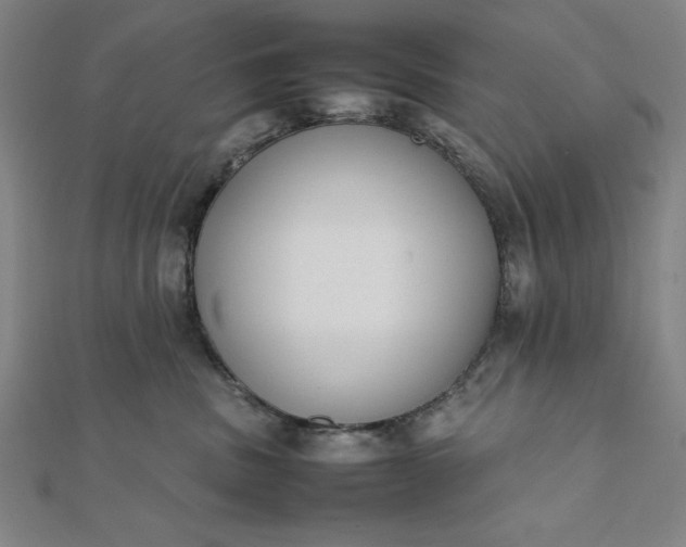 X0000112050379200908181141