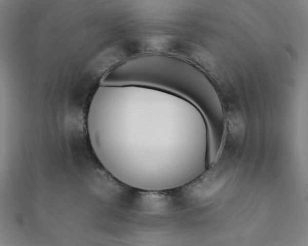 X0000112050380200908181141