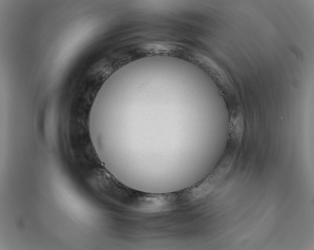 X0000112050381200908181141