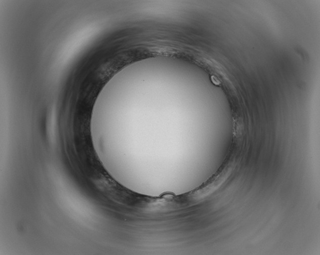 X0000112050382200908181141