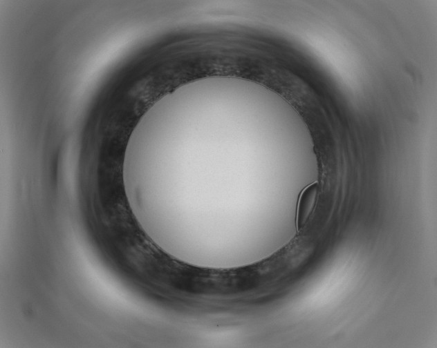 X0000112050383200908181141