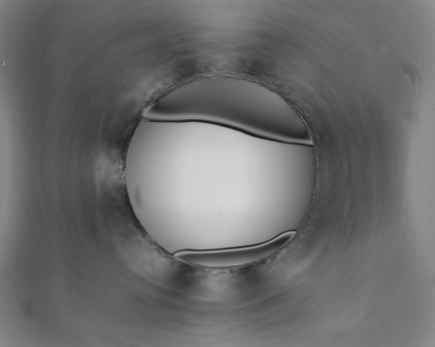 X0000112050384200908181141