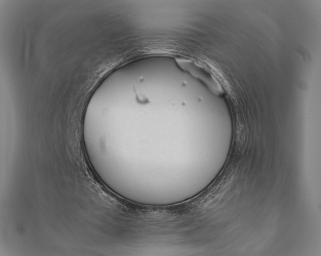 X0000112050385200908181141