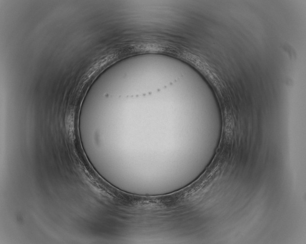 X0000112050386200908181141