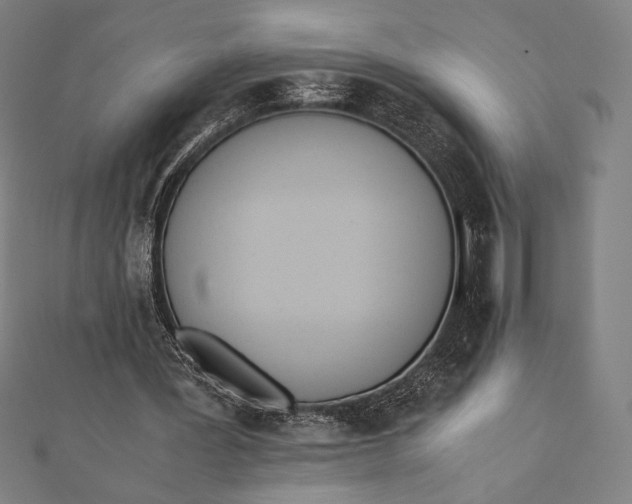 X0000112050387200908181141