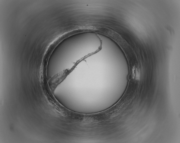 X0000112050388200908181141