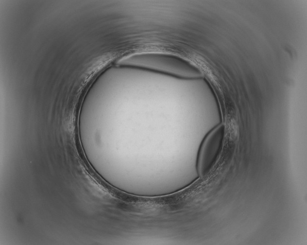 X0000112050389200908181141