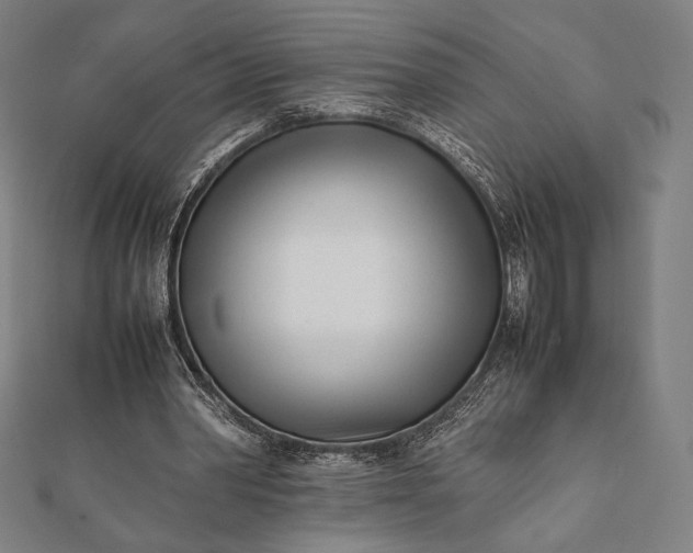 X0000112050390200908181141