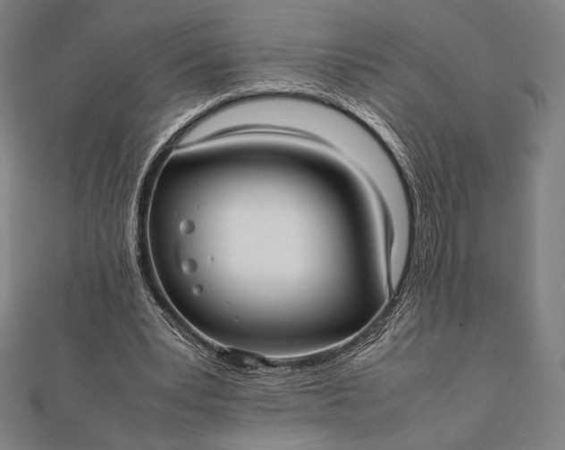 X0000112050391200908181141