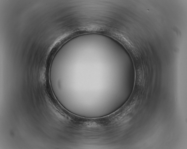 X0000112050392200908181141