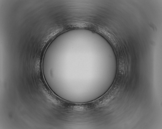 X0000112050394200908181141