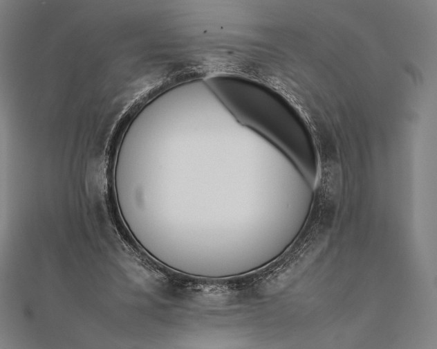 X0000112050395200908181141