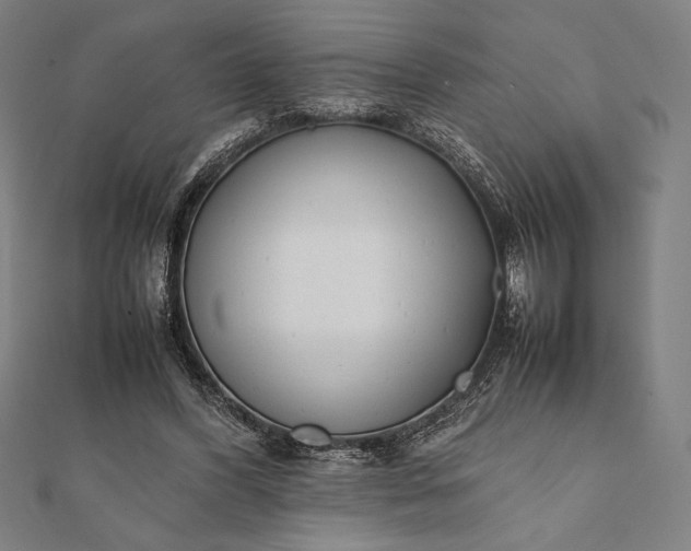 X0000112050396200908181141