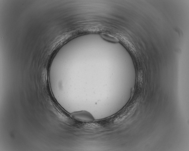 X0000112050397200908181141