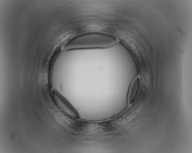 X0000112050399200908181141