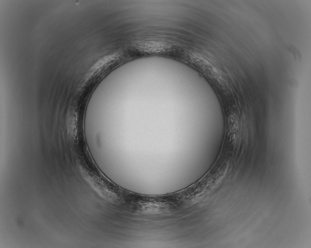 X0000112050400200908181141