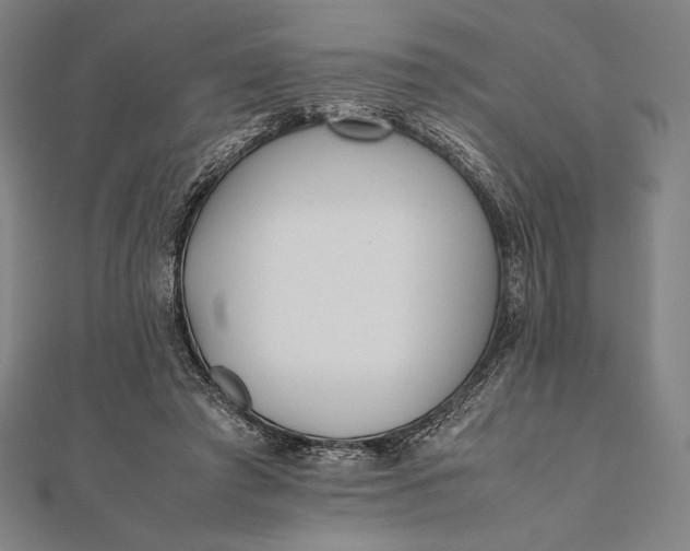 X0000112050401200908181141