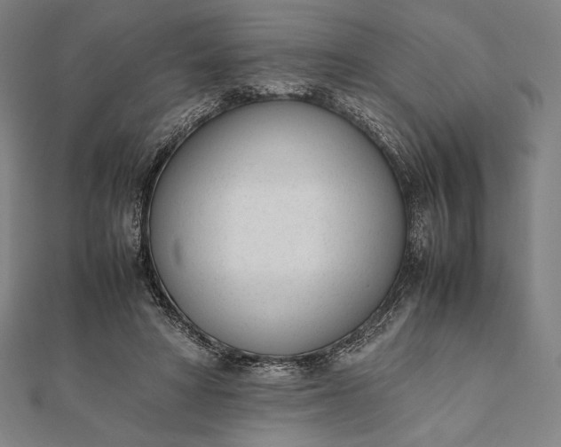 X0000112050402200908181141