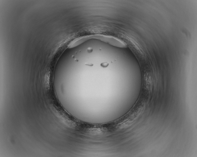 X0000112050404200908181140