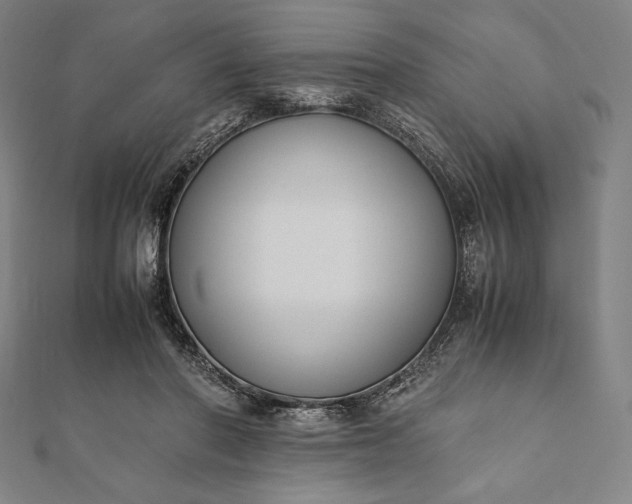 X0000112050406200908181140