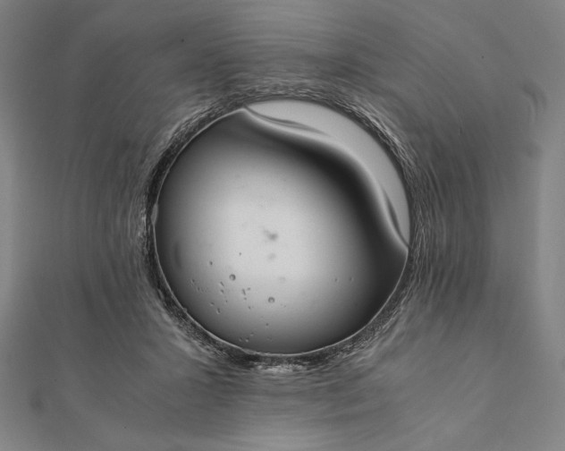 X0000112050407200908181140