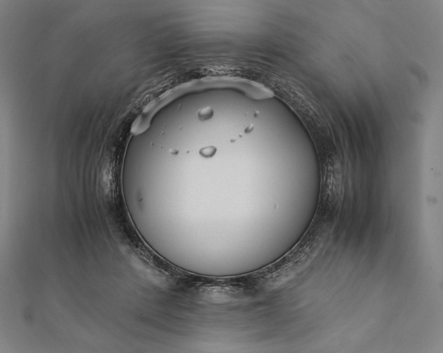 X0000112050408200908181140