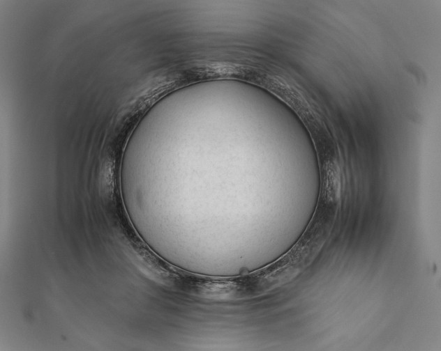 X0000112050410200908181140