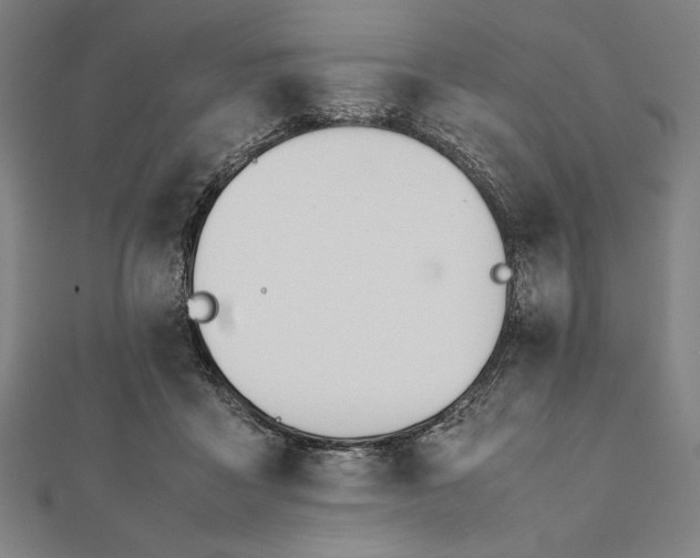 X0000112050411200908181140